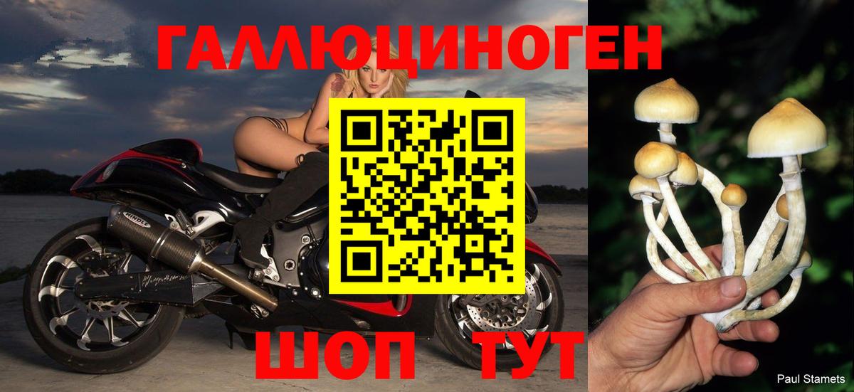 Горно-Алтайск  Псилоцибиновые грибы MAGIC MUSHROOMS  Вход с VPN 