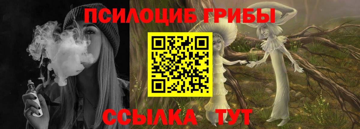Галлюциногенные грибы Cubensis Горно-Алтайск