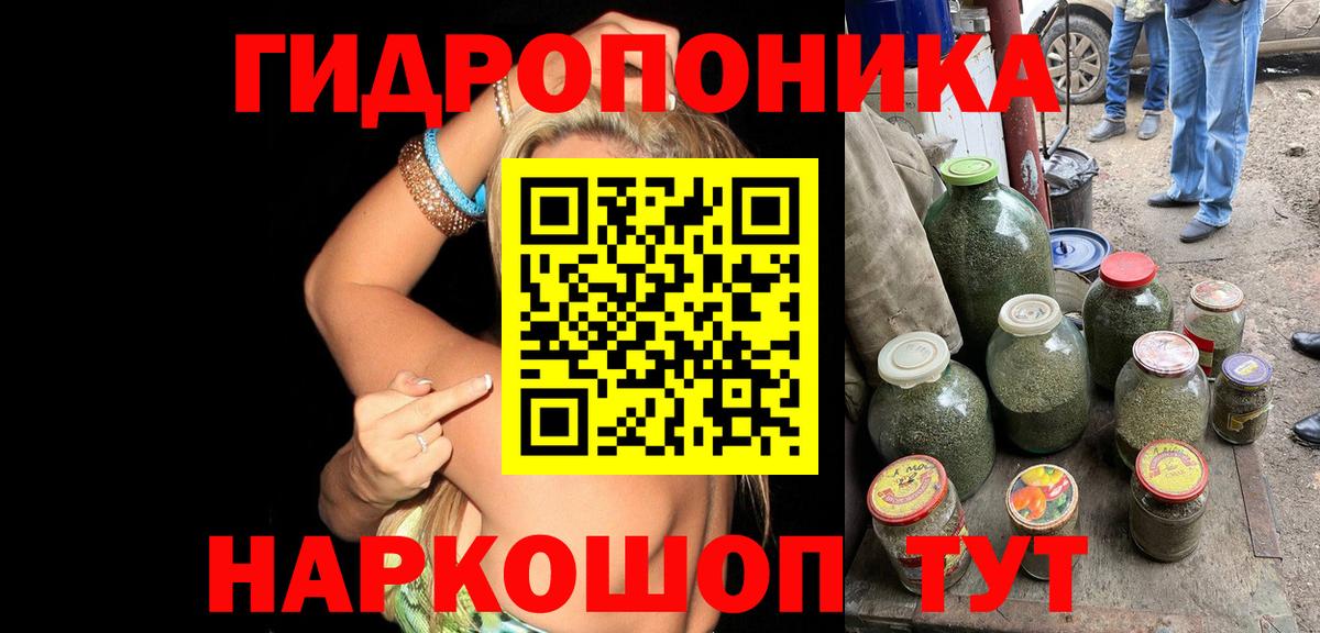 Канабис план Горно-Алтайск